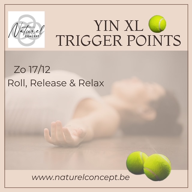 Yin XL, Triggerponts 17/12/2023